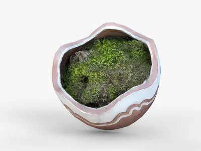 Broken Clay Planter with Moss Photorealistic 3D scan Low-poly 3D model