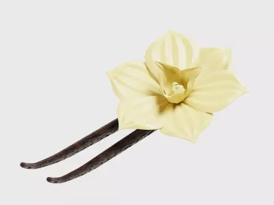 Vanilla flower Low-poly 3D model