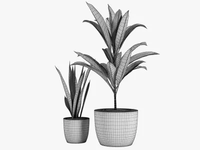 Pot Plant 23 3D model