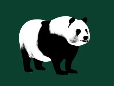 Giant Panda Bear  3D model