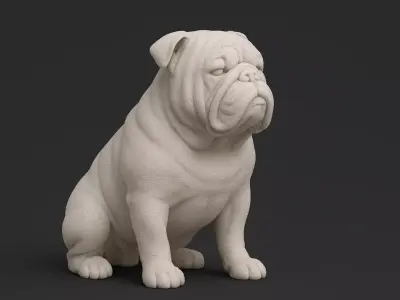 English Bulldog 3D print model