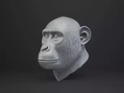 Monkey Bust - Animal Figurine 3D print model