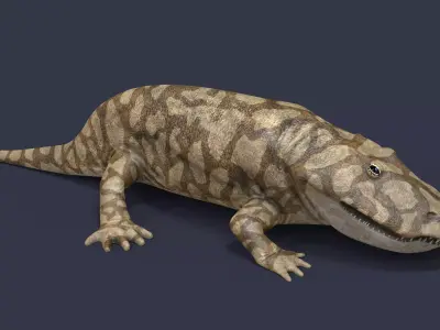Eryops megacephalus 3D model