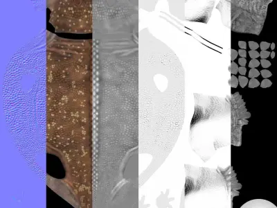 Bradysaurus baini Low-poly 3D model