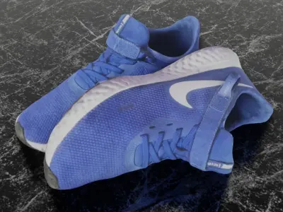 NIKE FLY EASE 3D SHOES - BLUE Low-poly 3D model
