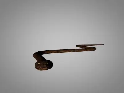 Snake Cobra Low-poly 3D model