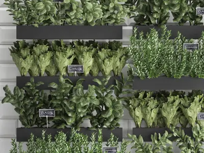 Decorative plants for the kitchen on wooden box 38 3D model