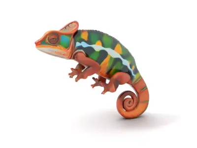 Vibrant Chameleon model pack Low-poly 3D model
