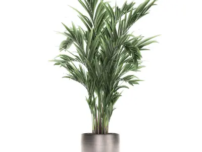 Decorative palm in a flowerpot 693 3D model
