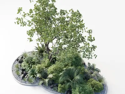 garden pot tree bush Collection outdoor indoor 113 3D model