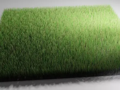 Realistic Grass 3D model 3D model