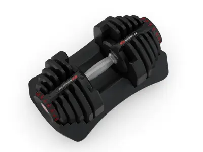 Bowflex Selecttech 1090i Dumbbells 3D model
