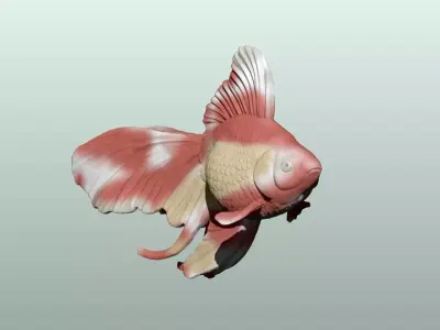 Goldfish Pose 2 3D print model