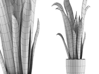 Plants Collection 44 3D model
