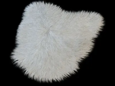 Fur with long pile 3D model