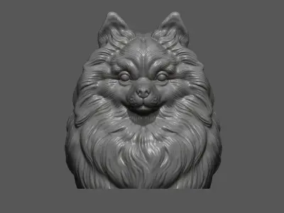 Pomeranian with a closed mouth 3D print model