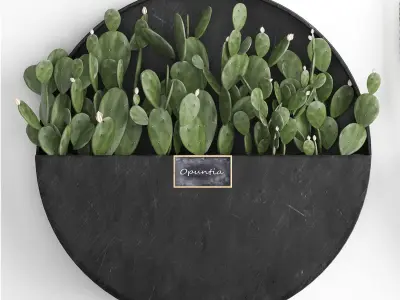 Cactus set wall decor vertical garden 55 3D model