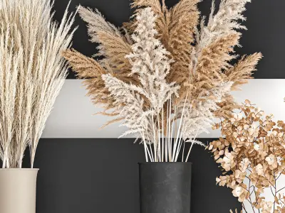 Collection of bouquets of dried flowers 207 3D model