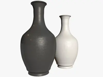 Two Black and White Vases 3D model