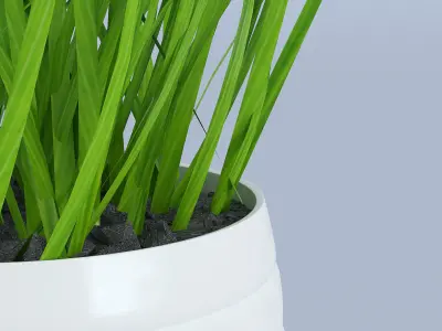Flower Grass Pot 3D model