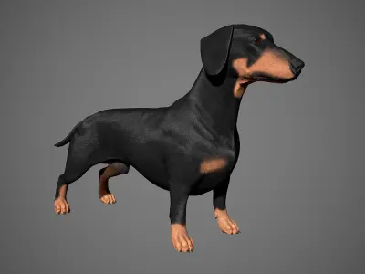 Dachshund Real-Time Low-poly 3D model