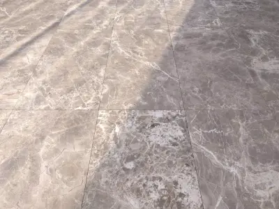 Marble Floor Alpha Greige Set Texture