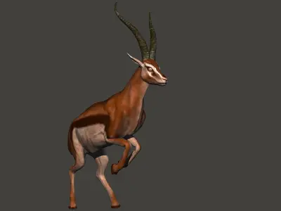 animated gazelle 3D model