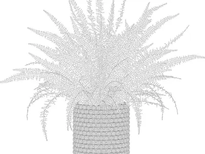 Fern indoor plant 3D model