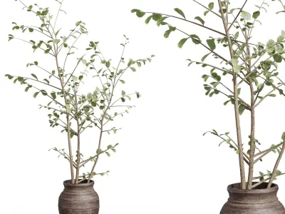 Indoor plant 479 wooden dirt vase plant tree pot 3D model