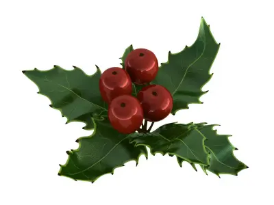 Mistletoe Sprig Holly 3D model