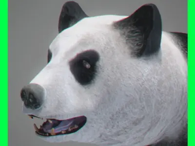 Animated Panda Bear 3D model