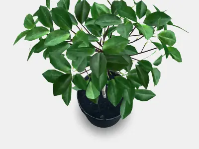 FEJKA Artificial potted plant 4 Low-poly 3D model