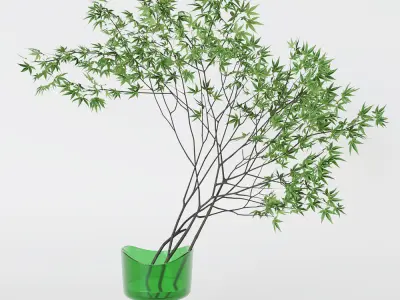 Decorative branch japanese maple 3D model
