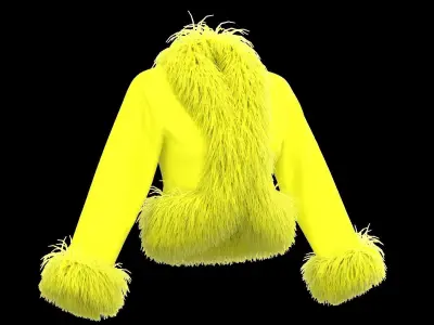 Feather jacket 3D model