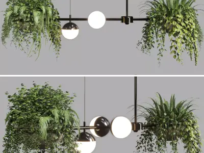 pendant light plant Indoor  outdoor plants hanging pot 3D model