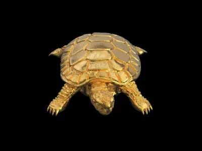 TURTLE TORTOISE 3D print model