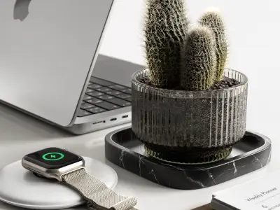 Barbed bubbles 3D model