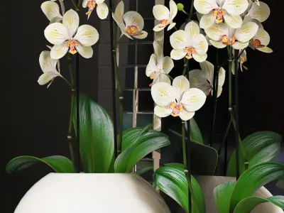 Decorative vase set 3D model