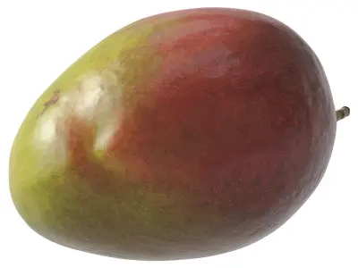 Mango 3D model