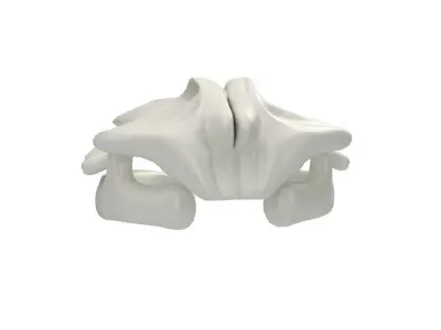 Blue Whale Skull 3D model