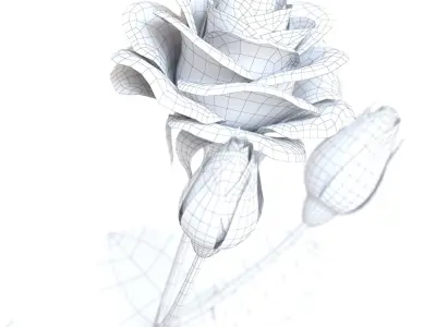 Crate andBarrel Bringham Vases with a Rose 3D model