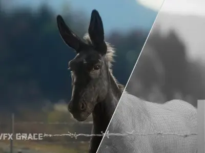 Donkey Summer Animation VFX Grace 3D model