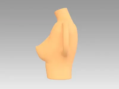 Vase female breast 3D print model