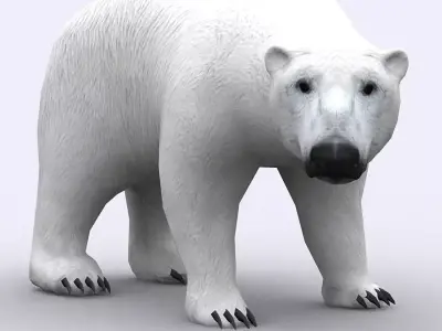 3DRT - Polar Bear Low-poly 3D model