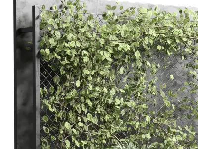 Ivy on Fence fitowall  vertical garden box 01 3D model