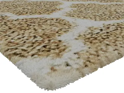 Rug Set 1785 3D model