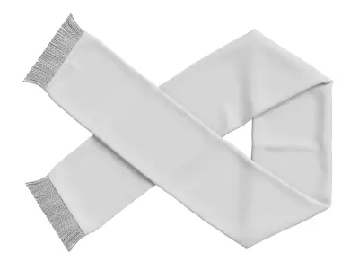 Football Fan Scarf 08 3D model