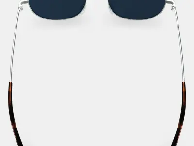 Merrick Sunglasses in Polished Silver 3D model