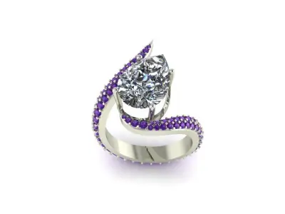 Ring with 2 casts 3D print model