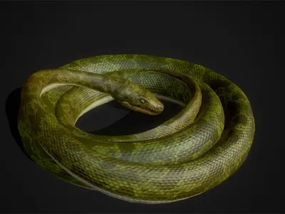 Boa - Game Ready three snakes Low-poly 3D model